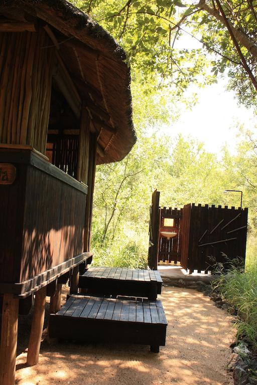 Off Beat Safaris Bush Lodge Hoedspruit Zimmer foto