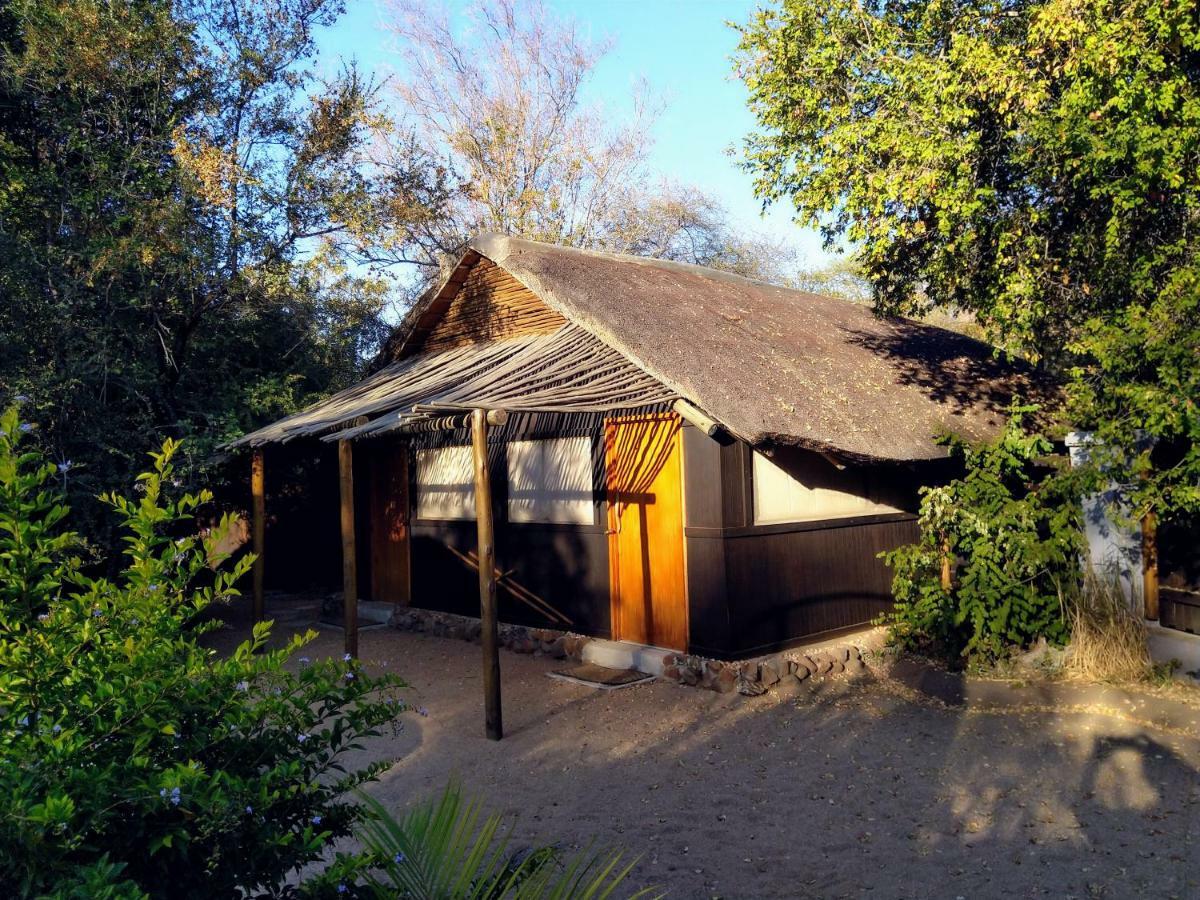 Off Beat Safaris Bush Lodge Hoedspruit Exterior foto